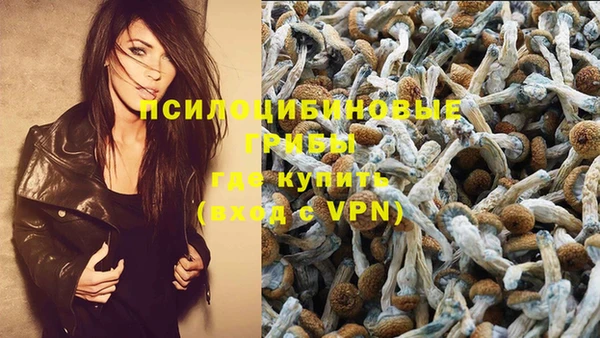 прущие крисы Абдулино