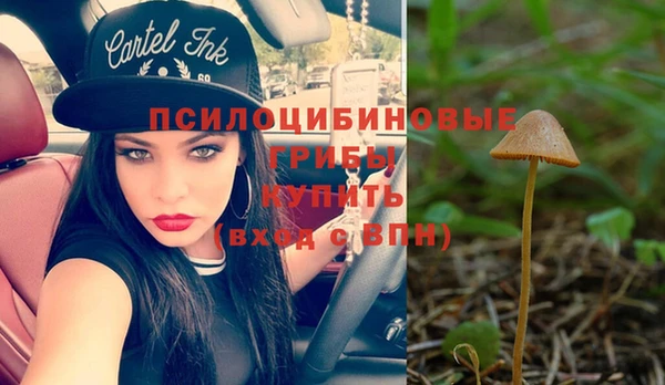 прущие крисы Абдулино