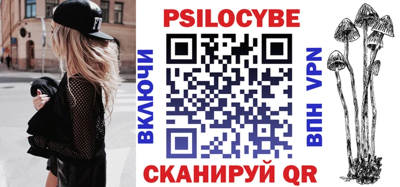 купить  сайты  Новосиль  Псилоцибиновые грибы Psilocybine cubensis 